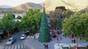 Por primera vez en su historia, Salamanca enciende su árbol navideño